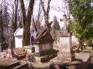 Cothurnatus - Lviv Cemeteries Cycle 2 -  