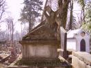 Cothurnatus - Lviv Cemeteries Cycle 3 -  