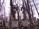 Cothurnatus - Lviv Cemeteries Cycle 8 -  