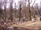 Cothurnatus - Lviv Cemeteries Cycle 11 -  