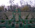 Cothurnatus - Lviv Cemeteries Cycle 19 -  