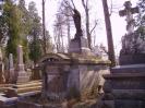 Cothurnatus - Lviv Cemeteries Cycle 18 -  